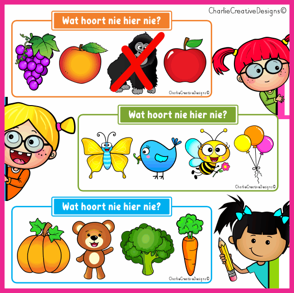 Wat hoort nie hier nie?