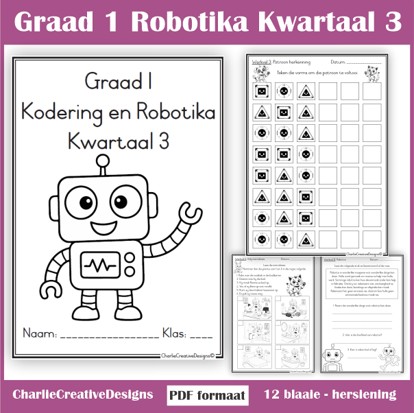 Graad 1 Kodering en Robotika kwartaal 3