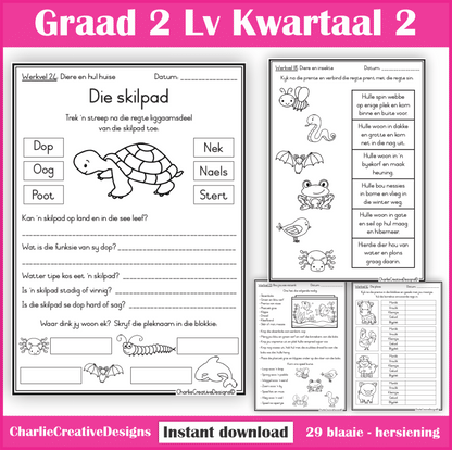 Graad 2 Lewensvaardigheid kwartaal 2