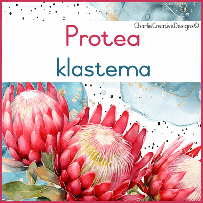 Protea klastema