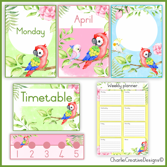 Red parrot classroom theme