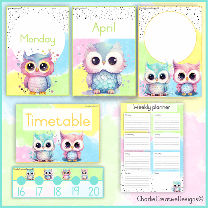 Owl classroom theme