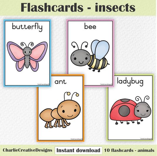 Flashcards - Insects