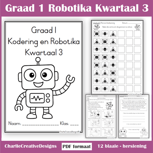 Graad 1 Kodering en Robotika kwartaal 3