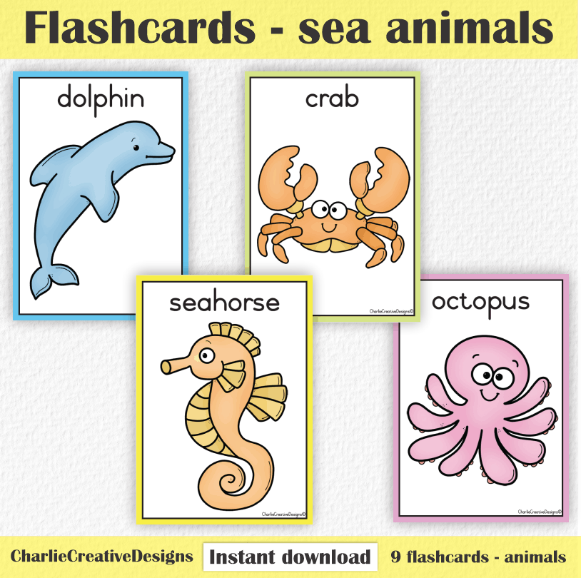 Flashcards - Sea animals