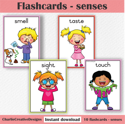 Flashcards bundle