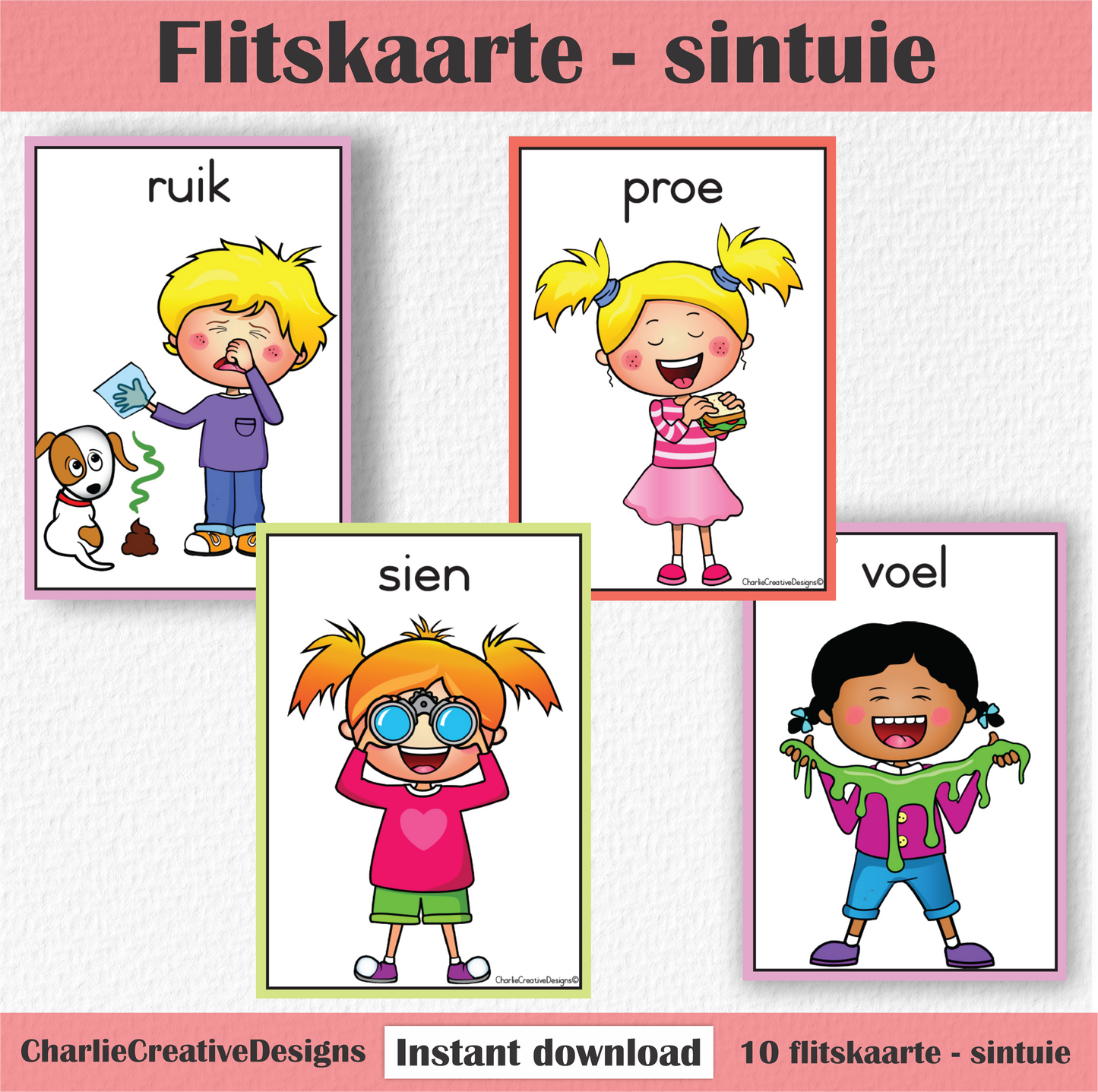 Flitskaarte - sintuie