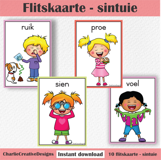 Flitskaarte - sintuie