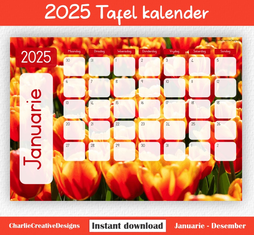 Tulpe kalender 2025